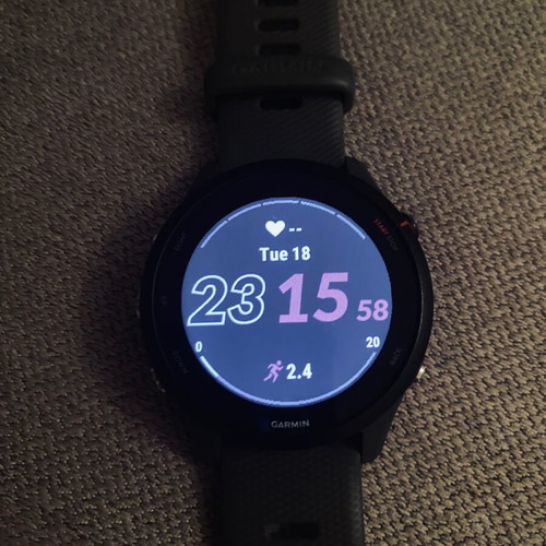 Garmin Forerunner 255 slate grey edition smartwatch