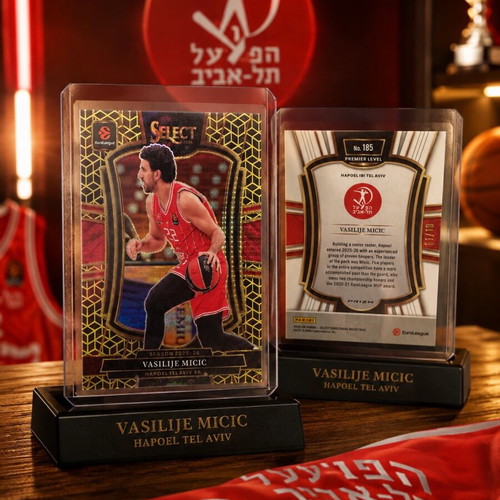 Vasilije Micic Premier Level card new