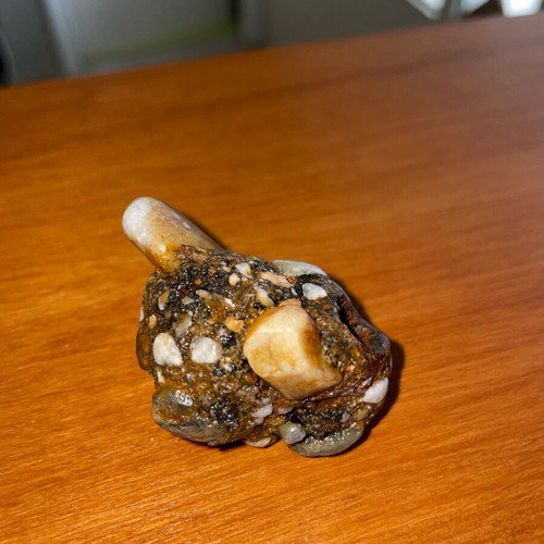 Conglomerate rock new with natural cavity