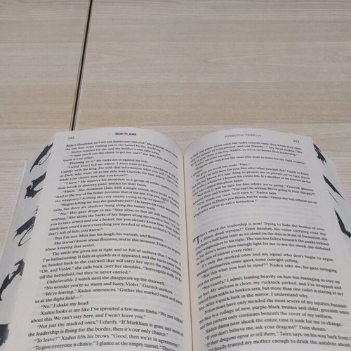 Iron Flame novel by Rebecca Yarros new, in English