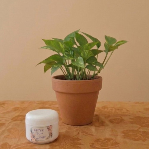 After Sun cream for skin care and hydration, new, 100gr