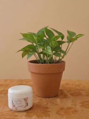 After Sun cream for skin care and hydration, new, 100gr