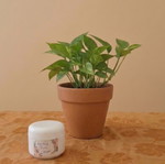 After Sun cream for skin care and hydration, new, 100gr