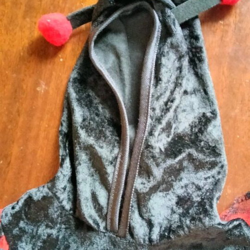 Baby costume Ladybug 12-18 months like new