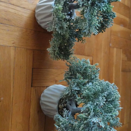 Decorative plants new, set of 2 in clay pots