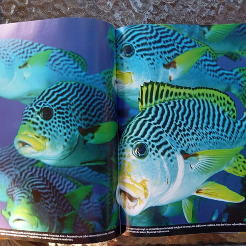Globus Travel Encyclopedia Volumes 3, 4, 5 used, Australia France Latin America