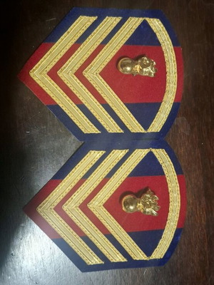 Velvet Vintage Sergeant Insignia like new with flames