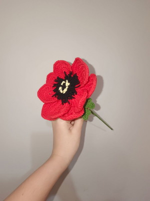Knitted Anemone Flower