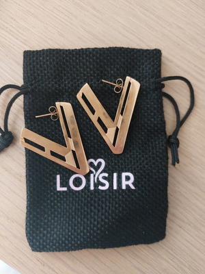 Loisir steel earrings in V shape