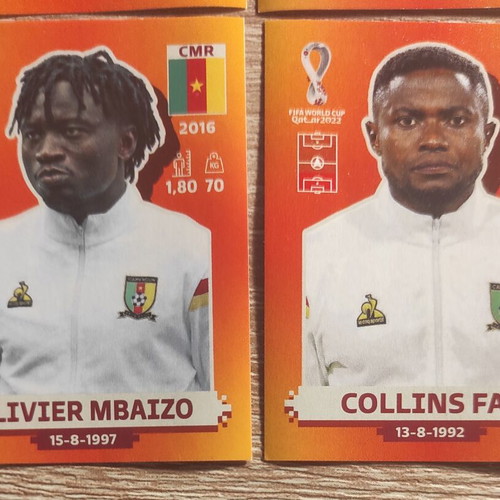 Panini World Cup Qatar 2022 Cameroon stickers, set of 12