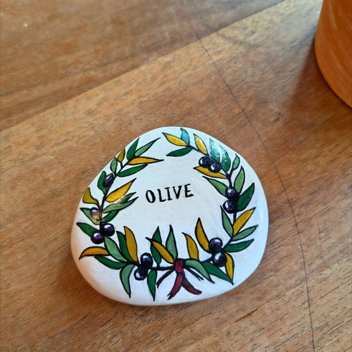 Hand-painted decorative pebble magnet new