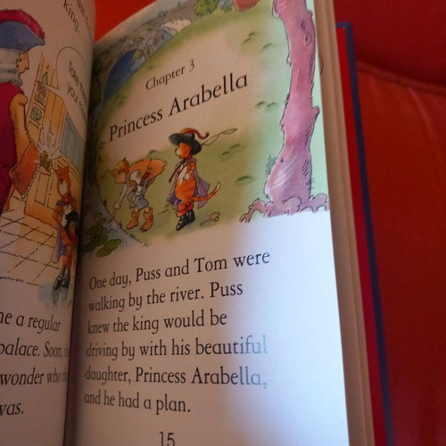 Puss in Boots children's book used, very good condition