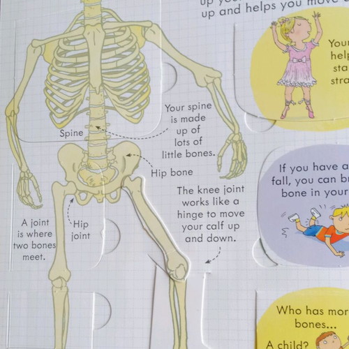 Children's book Look inside your body like new, English