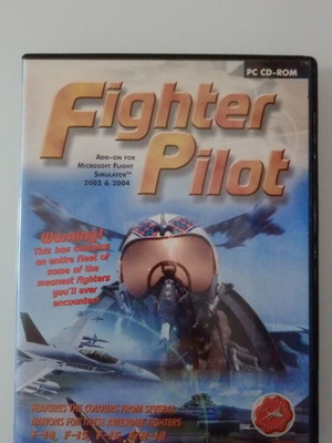 Fighter Pilot videogame used, without manual, PC