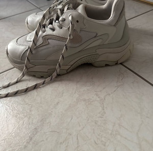 Ash sneakers