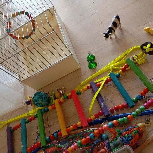 Bird accessories and toys set with transport bag like new