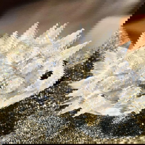 Swarovski Διακοσμητική Μινιατούρα Σκατζόχοιρος καινούργια