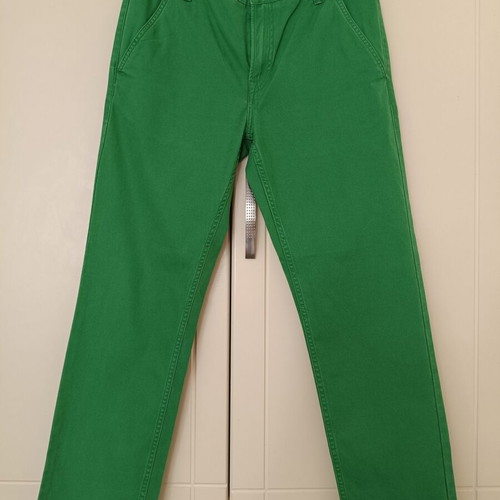 Timberland Thompson Lake green men's chino pants