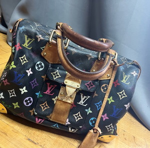 Louis Vuitton multicolore