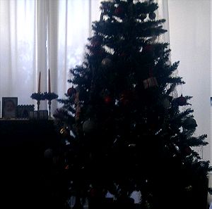 Χριστουγεννιάτικο δέντρο χωρίς τα στολίδια