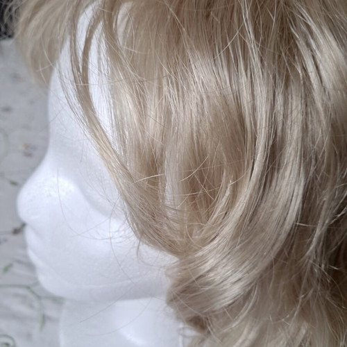 Paula Young wig new, unworn from America