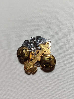 US Navy pin used