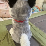 Jumbo plush dog like new