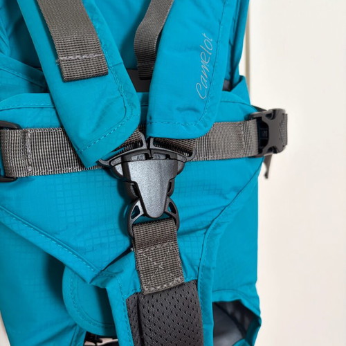 Dog carrier like new, blue and gray, for small dogs or puppies