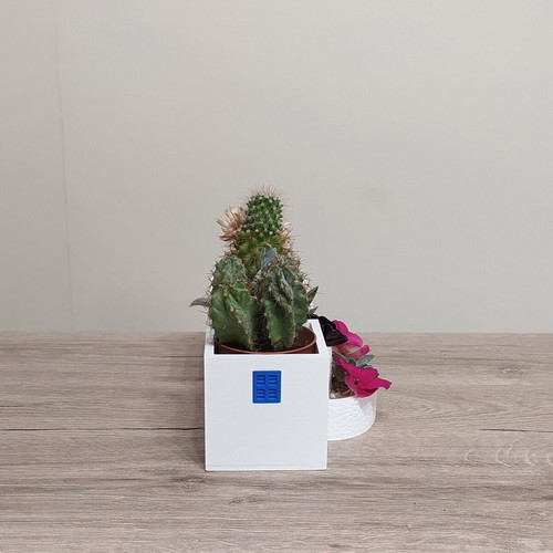 Nisiotika Spitakia 3D Printed Decorative Plant Holder new