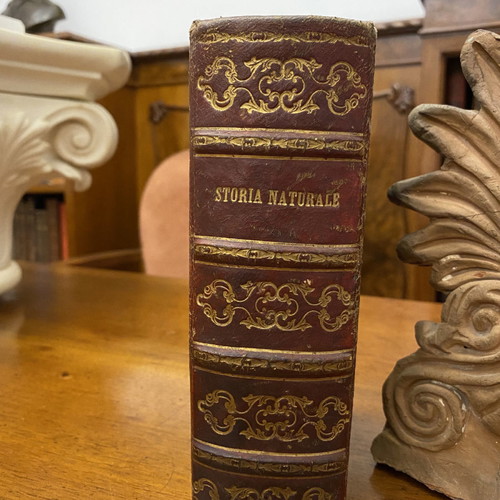 Three books in one volume used with vintage leather binding