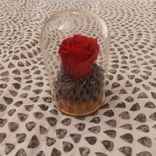 Forever Rose in Glass Dome with Dried Hydrangea, Like New