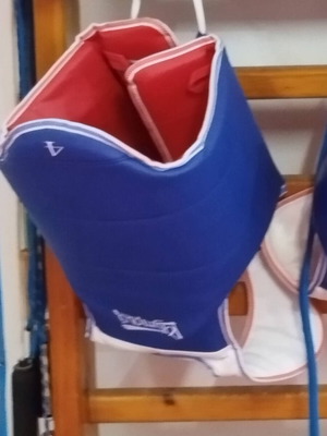 Martial Arts Competition Chest Guard No 4 like new, double-sided