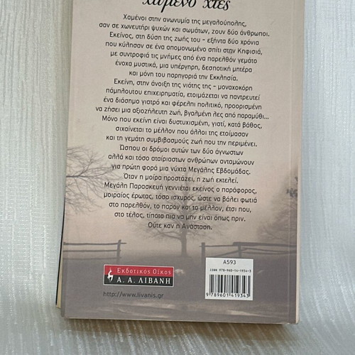 Lost Yesterday novel used