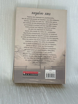 Lost Yesterday novel used
