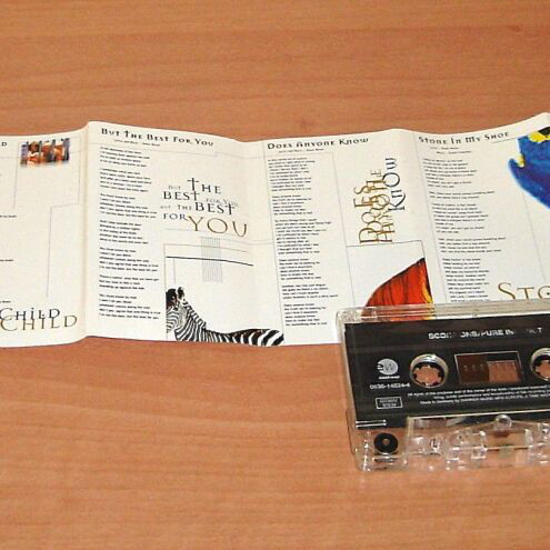 Scorpions – Pure Instinct (Κασέτα)