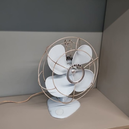 Vintage Calor BiVolt Fan 1955 used, two speeds, oscillation