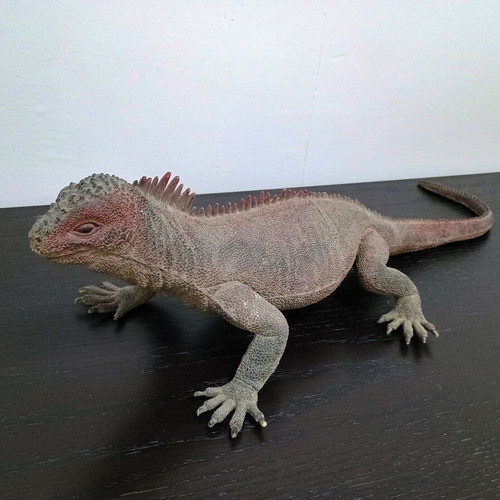 Large iguana toy used