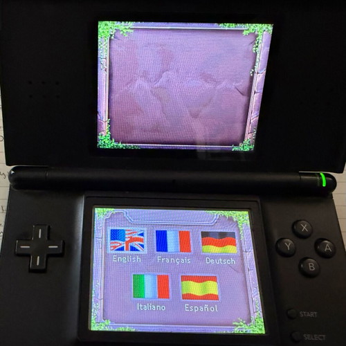 Dragon Hunters Nintendo DS game used