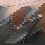  ΓΥΝΑΙΚΕΙΑ ΕΠΩΝΥΜΑ ΠΑΠΟΥΤΣΙΑ