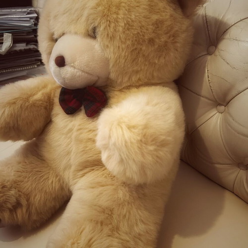 Beige plush teddy bear 60cm
