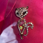 Clothing pin new