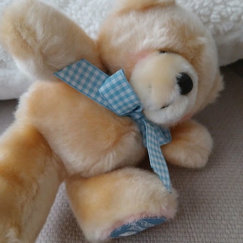 Forever Friends Hallmark teddy bear new with tags 19cm