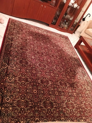 Viokarpet rug 2.90x1.90 without fringes like new