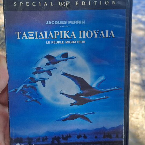 Traveling Birds DVD used, social documentary with subtitles