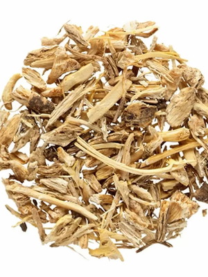 Angelica root new, herb with therapeutic properties