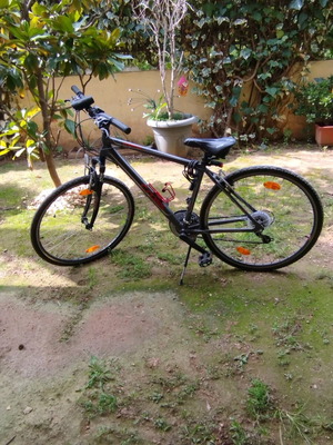 Areal Men's Trekking Bicycle 29 Inch Like New With Gears