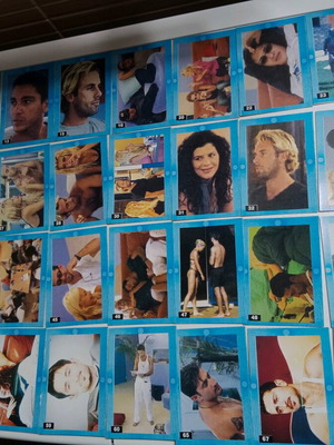 Big Brother Polystar 67 single cards used