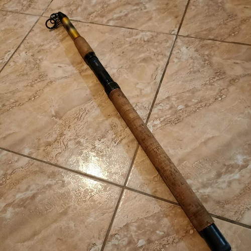 Zebco Praktica DX-60 Fishing Rod, 40-60