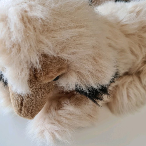 Stuffed dog used in good condition with missing nose