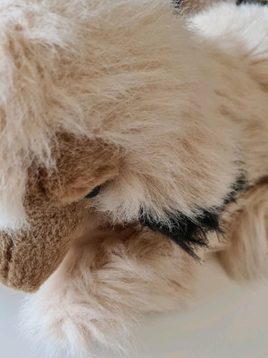 Stuffed dog used in good condition with missing nose